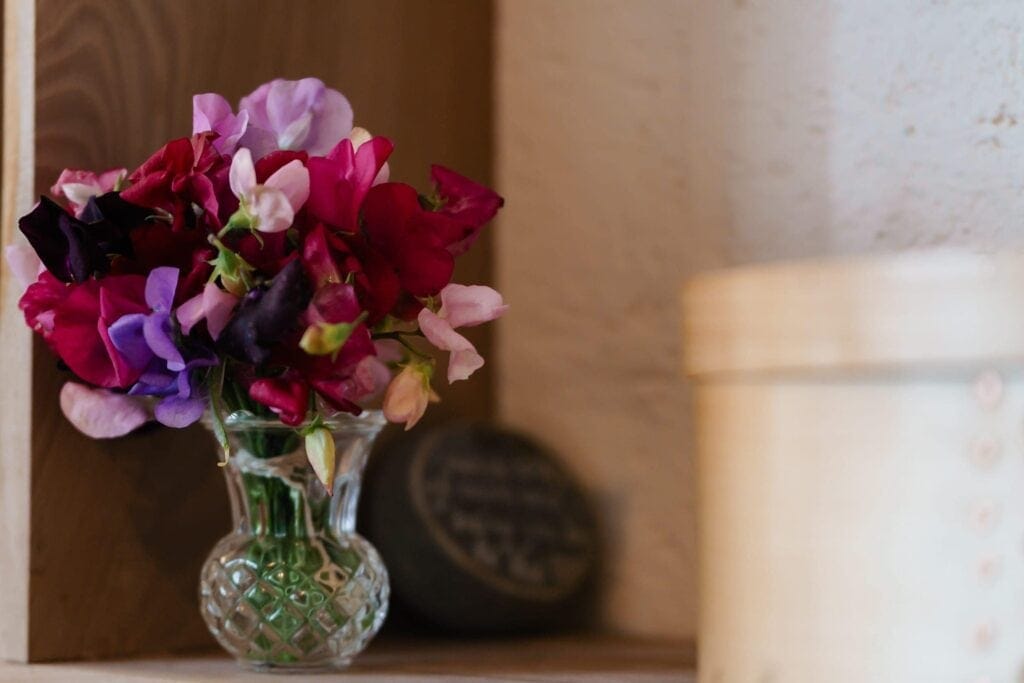 A vase of sweet peas on a shelf in the counselling room